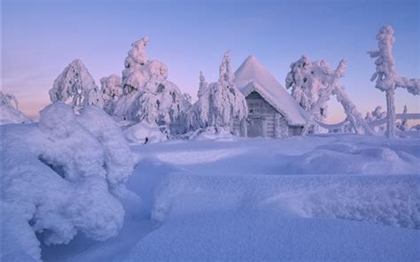 배경 화면 핀란드 라플란드 겨울 두꺼운 눈 나무 집 2560x1600 Hd 그림 이미지