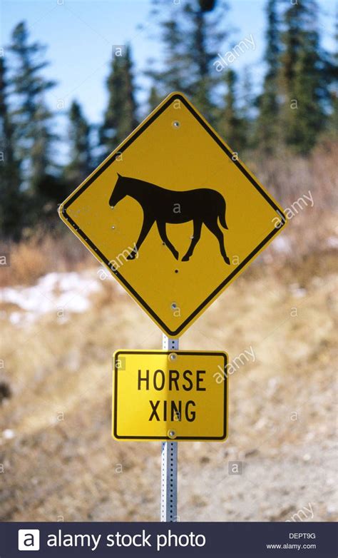 Download This Stock Image Horse Crossing Sign Alaska Usa Dept9g