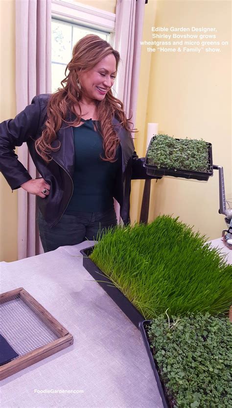 The Beauty Of Growing Micro Greens And Wheatgrass Is That You Can Do It