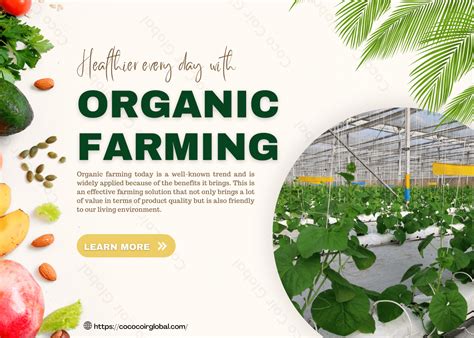 What Is Organic Farming Features Roles And Benefits