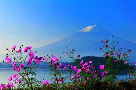 Pictures Mount Fuji Japan Volcano Nature Mountains Sky Lake Flower