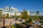 History | Duke Department of Medicine