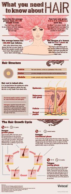 What You Need To Know About Hair Infographic Cabello Afro Natural