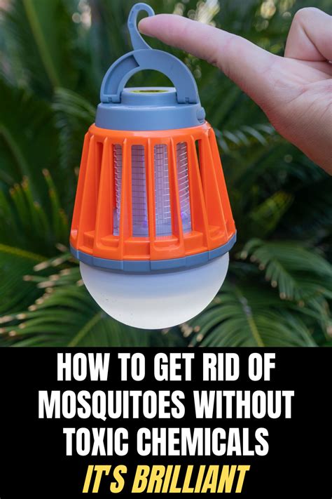 This works best for special events but the effectiveness will only last for a few weeks. Protect Yourself From Annoying Mosquitoes And Flies — Without Using Harmful Chemicals ...