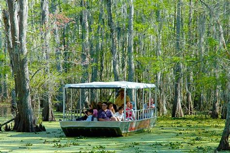New Orleans Self Transport Swamp And Bayou Boat Tour Marriott