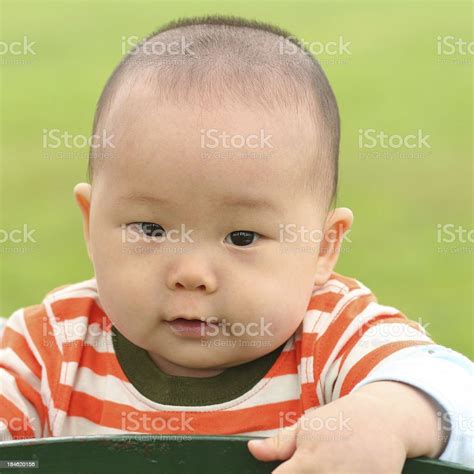 Baby Boy Stock Photo Download Image Now 2 5 Months 6 11 Months