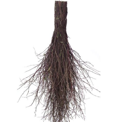 Traditional Besom Broom Witches Broomstick Garden Corn Leaf Sweeping