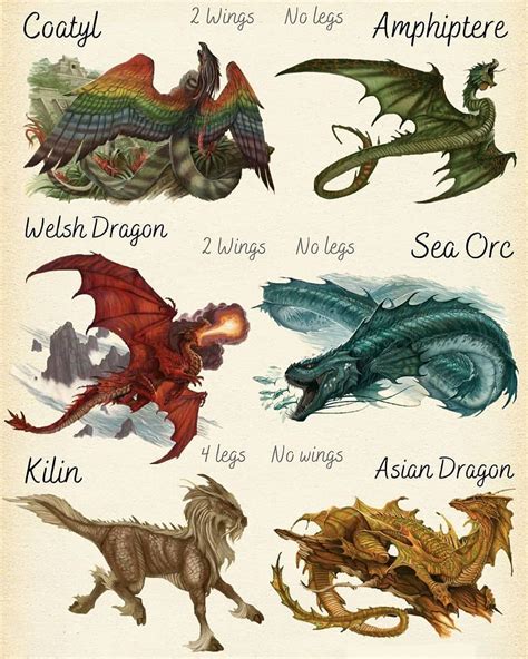 Dragons And Monsters On Instagram “🐲whats Your Favorite Species 🐲