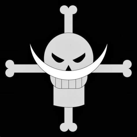 Algumas Bandeiras Piratas Jolly Roger De One Piece One Piece Brasil