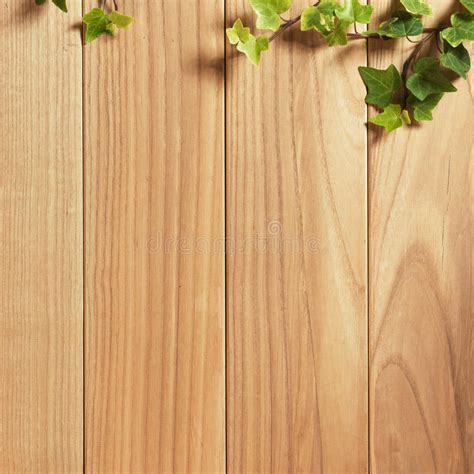 An Ivy Plant On A Table Of Hardwood Stock Photo Image Of Wall Design