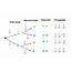 Tree Diagram  Free Math Worksheets