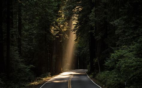 Breathtaking Ray Of Sunlight On A Lonely Forest Road 1920x1200 My