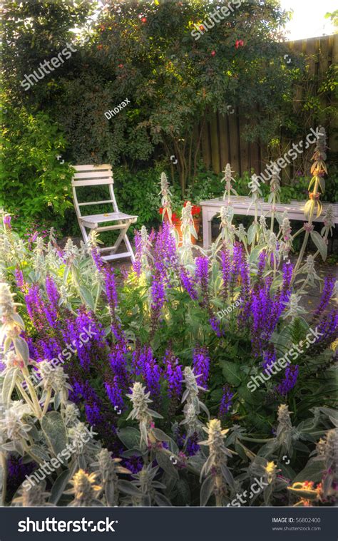 Beautiful Garden At Sunset Flowers And Furniture Stock