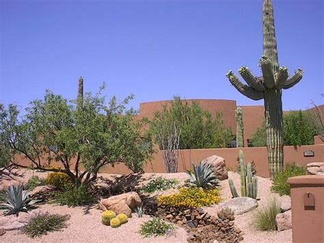 Arizona Native Plants Landscape Design Artificial Grass Desert