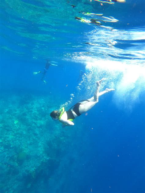 Snorkelling In The Maldives The Maldives Travel