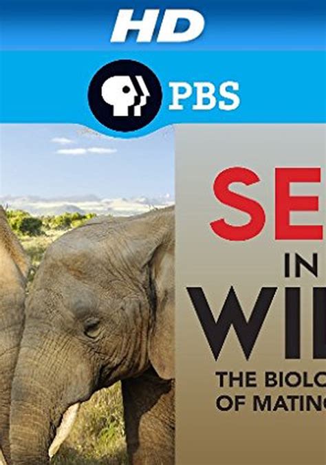 Sex In The Wild Season 1 Watch Episodes Streaming Online