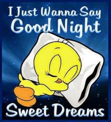 Good Night Memes For When You Want Funny Goodnight Wishes