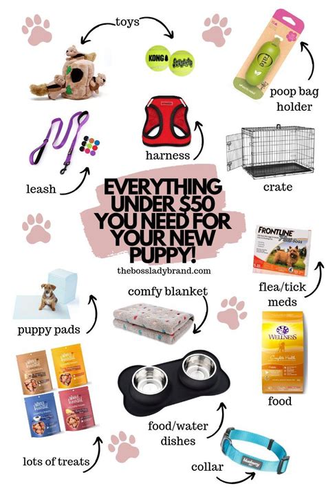 Maybe you would like to learn more about one of these? Everything You Need to Buy for Your New Puppy | New puppy ...