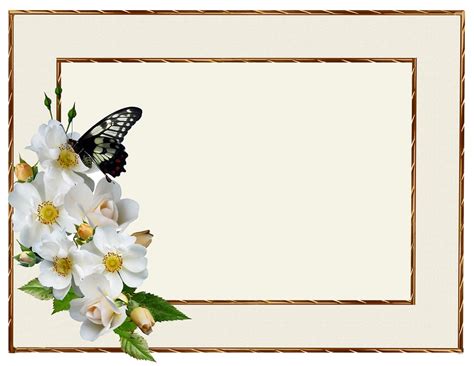 35 Terbaik Untuk Bingkai Bunga Mawar Putih Splend Our Soflife