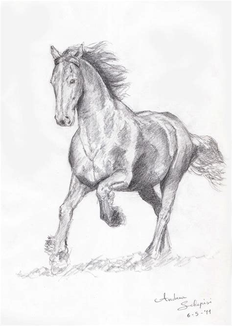 100th Deviation Horse Sketch By Andreaschepisi On Deviantart