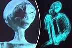 Extraterrestrial life: 'Alien' corpses found in Peru are REAL, second ...