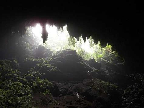 Parque Natural De Las Cavernas Del Río Camuy Viaje A América
