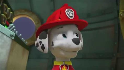 Paw Patrol Pups Save A Mer Pup 4 Clip Youtube