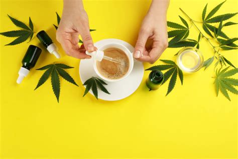 benefits of cbd coffee and everything you should know caleafy