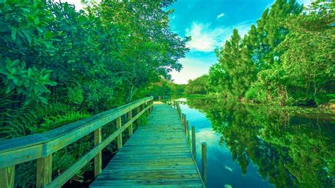 Everglades Safari Park 🐊 2023 Coupons And Reviews