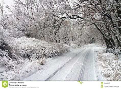 Winter Road In Snowy Forest Royalty Free Stock