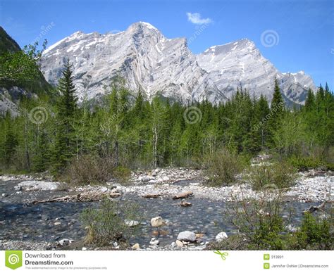 Rocky Mountain Spring Stock Image Image Of Landscape