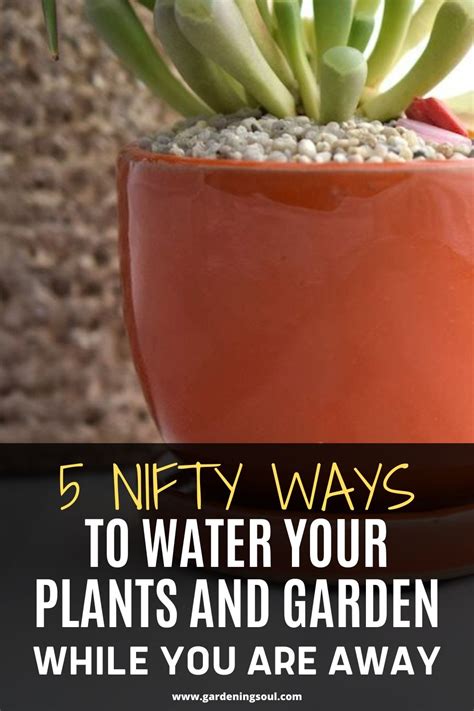 5 Nifty Ways To Water Your Plants And Garden While You Are Away
