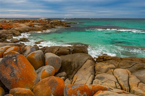 10 Amazing Things To Do In Tasmania Aussie On The Road