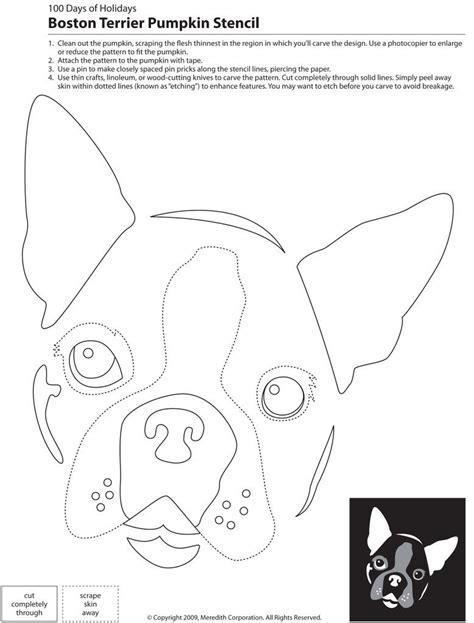 22 Downloadable Dog Breed Pumpkin Stencils Dog Stencil Pumpkin