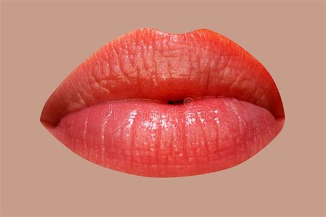 Sensual Woman Lips Womans Natural Lip Girl Mouth Close Up With Red Lipstick Stock Image