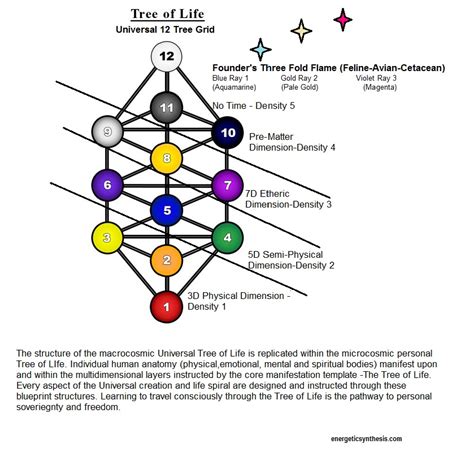 Universal Tree Of Life Ascension Glossary