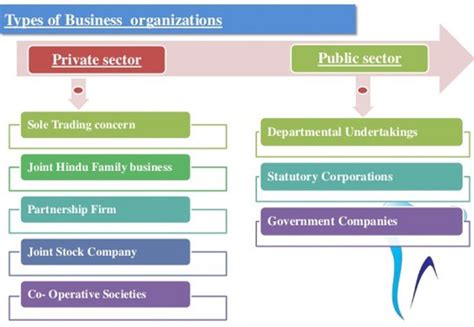 6 Main Types Of Business Organizations Pros And Cons