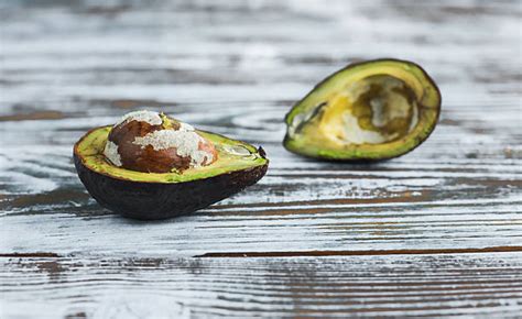 Royalty Free Rotten Avocado Pictures Images And Stock Photos Istock