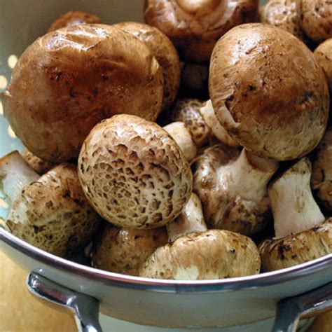 Mushroom Cremini