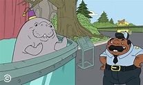 Trailer: Comedy Central's 'Loafy' Ready to Make a Splash | Animation ...