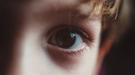 Explainer How Our Eyes Make Sense Of Light Science News For Students