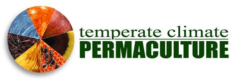 Temperate Climate Permaculture Permaculture Plants Lupine