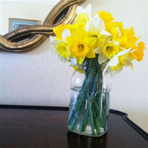 Nothing Says Spring Quite Like Daffodils In A Mason Jar Happy Country