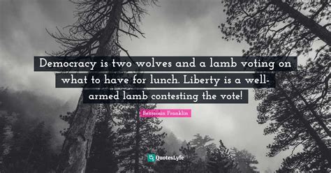 Democracy Is Two Wolves And A Lamb Voting On What To Have For Lunch L