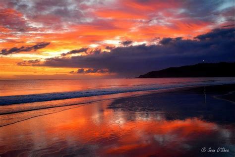 Sunrise At Main Beach Byron Bay By Sean Oshea Sunset Byron Bay