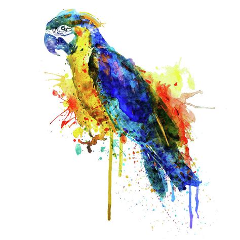 Parrot Watercolor Painting By Marian Voicu Pixels