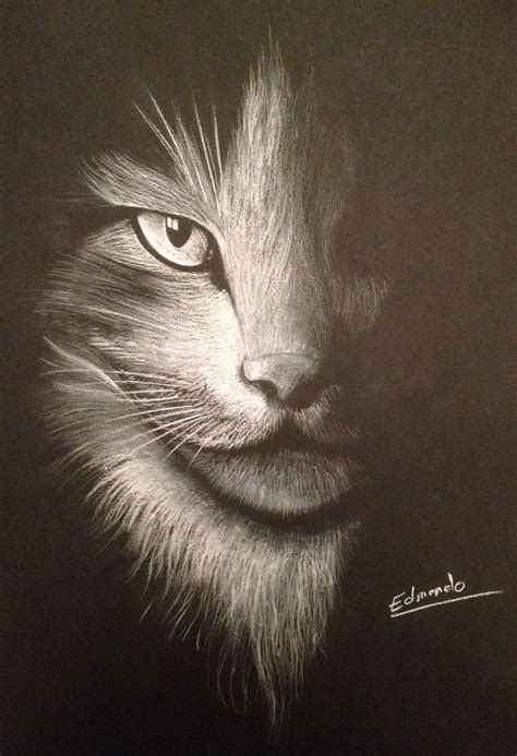 Si et am, les chattes siamoises. Dessin au crayon blanc sur Canson noir | Dessin noir et blanc, Dessin de papier et Papier noir