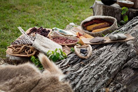 Forgotten In Time The Native American Diet And How It Has Returned To