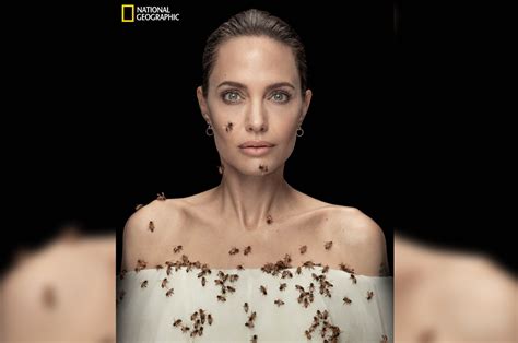 Angelina Jolie Gets Covered In Bees For World Bee Day