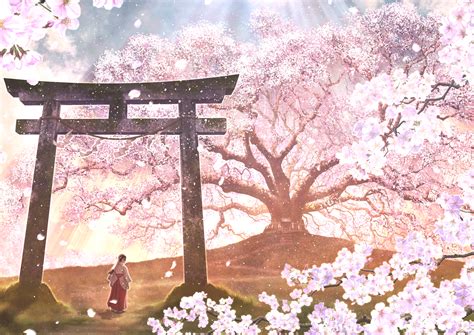 Anime Cherry Blossom  Sakura Wallpapertip Torii Konachan